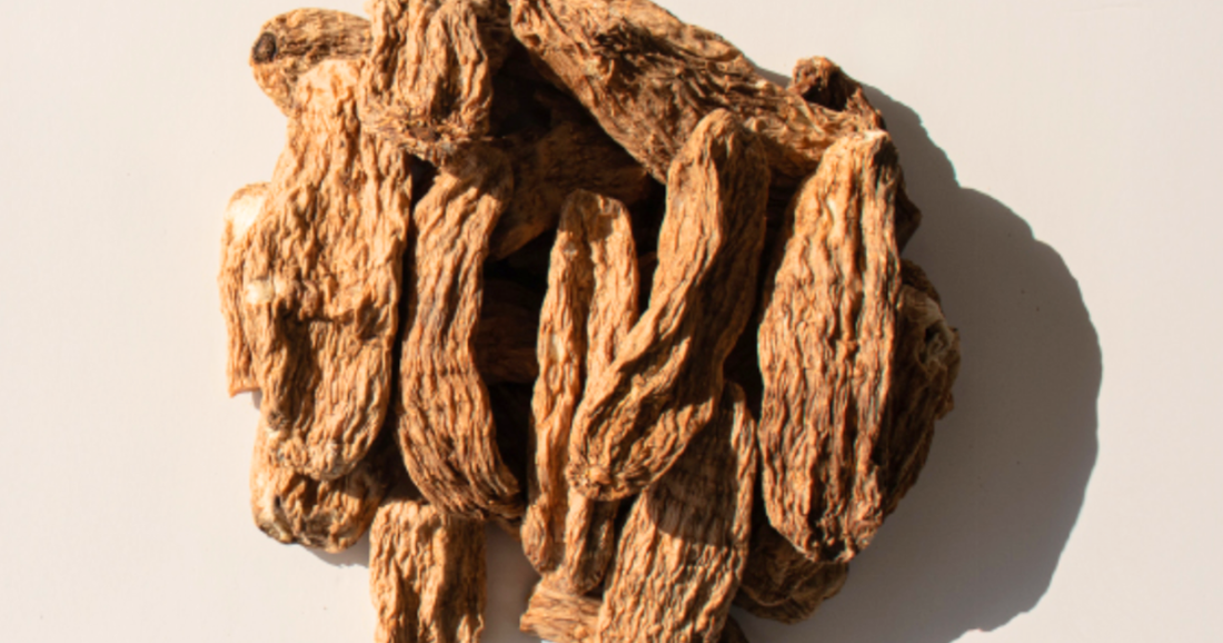 Gastrodia Elata: Korea’s Hidden Wellness (with Noblus)