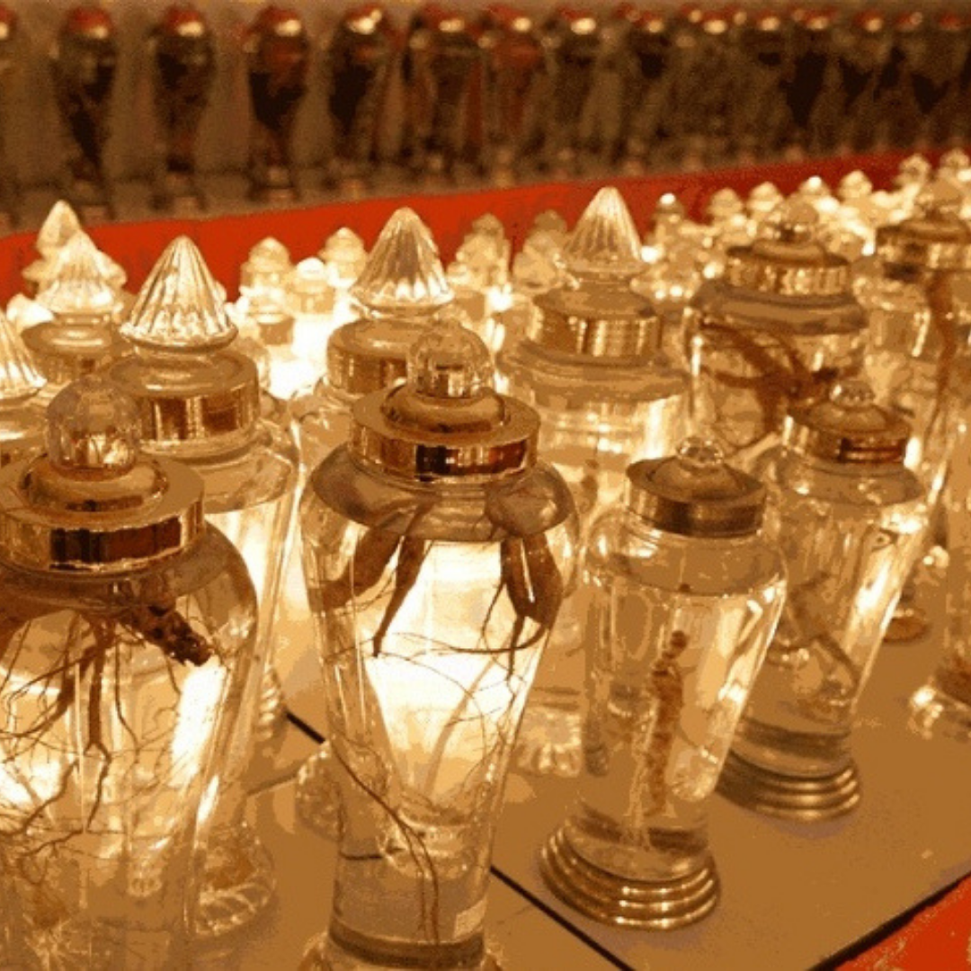 Chunsamjung Sansam Bichaek 천삼정 산삼 비책